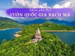 Kinh nghiệm du lịch Vườn quốc gia Bạch Mã Huế | Review 2021