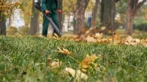 We did not find results for: Leaf Blower Blowing Leaves Stock Video Footage Royalty Free Leaf Blower Blowing Leaves Videos Pond5