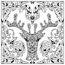 Pass out to the student's pictures of the deer head without antlers. Deer Head Coloring Page Stock Photo Picture And Royalty Free Image Image 53838347