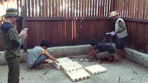 Maybe you would like to learn more about one of these? Telur Penyu Dari Bulungan Tertangkap Di Berau Ternyata Milik Warga Tarakan Diamankan Di Sangalaki Tribun Kaltim