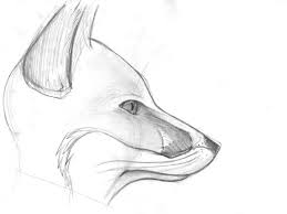 Wie Ich Ein Fuchs Wurde Fursuitseite How I Became A Fox Fursuitpage