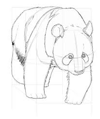 Comment Dessiner Un Panda Dessin Comment Dessiner Un Panda Panda Dessin