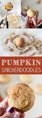 Pin On Pumpkin Mania