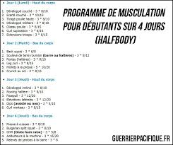 Exercices conseillés pour chaque groupe musculaire. Le Meilleur Programme De Musculation Pour Debutants Guerrier Pacifique