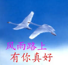 我有个幸福的家 ) 我为他们骄傲 )) 我有个驾照，然而暂时没有车 ) 不过我有个自行车，骑它就是超爽 ) 目前我听有声书叫 小王子 (有些人变了法国的版到普通话)。 我尝试听懂 ) 谢谢你们的注意，让我关于一切讲讲 ) 我错呢，就改正吧 ) 我祝你们都学会中文和所有你喜欢的事. é£Žé›¨è·¯ä¸Šæœ‰ä½ çœŸå¥½ æ‰‹æœºè¡¨æƒ…å…š