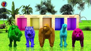 Taking all of these factors into consideration, if a lion and a wolf were to fight, the lion would come out on top 10 out of 10 times. Animals Kids Matching Game For Kids Animals Eggs Lion Tiger Gorilla Cheetah Bear Video Dailymotion