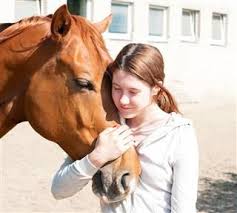 Pin On Horse Stuff