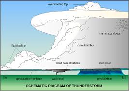 You can compare two different items or a single item for the different periods. Severe Weather 101 Tornado Basics
