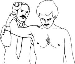 Image result for Hawkins Test