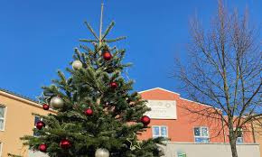 Nach diesem motto leben, lehren und behandeln wir im haus des phönix im saarland. Ein Christbaum Fur Die Senioren Im Haus Phonix Nh24 De