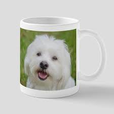 Coton De Tulear Gifts