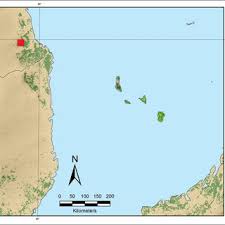 Image result for Monanthotaxis orophila