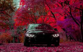 Pin By Autofeel Us On Car In 2020 Car Bmw Black Forest