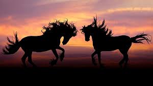 This hd wallpaper was upload at may 26, 2019 upload by roxanne j. Horse Sunset Wallpapers Top Free Horse Sunset Backgrounds Wallpaperaccess