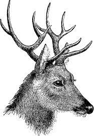 Free Vintage Digi Stamp Deer Head Png 1 109 1 600 Pixels Clip Art Vintage Digital Stamps Vintage Printables
