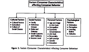 factors affecting consumer behaviour with diagram