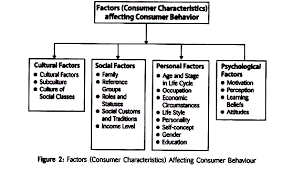 Factors Affecting Consumer Behaviour With Diagram