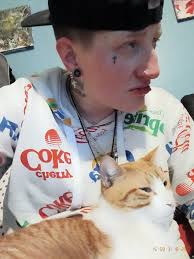 Is this lost cat yours in the 9 and vandyke area?