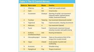 cranial nerves mnemonics