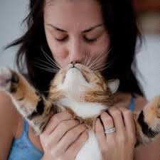 Danielle Masters's Instagram, Twitter & Facebook