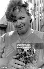 392 The Great Horned Owl Stock Photos, High-Res Pictures, and Images