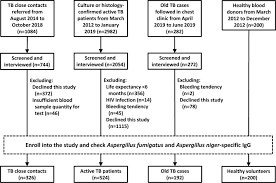 Pulmonary aspergillosis is a collective term used to refer to a number of conditions caused by infection with a fungus of the aspergillus species (usually aspergillus fumigatus). Seroprevalence Of Aspergillus Igg And Disease Prevalence Of Chronic Pulmonary Aspergillosis In A Country With Intermediate Burden Of Tuberculosis A Prospective Observational Study Clinical Microbiology And Infection