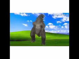 Interior Crocodile Alligator I Drive A Chevrolet Movie Theater Youtube