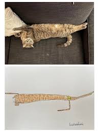 Pet Portraits By Hercule