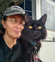 Traveling with cats in an RV