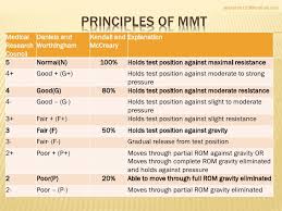 Mmt Grades Sada Margarethaydon Com