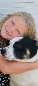 Corgi's face ruins cute photo of daughter