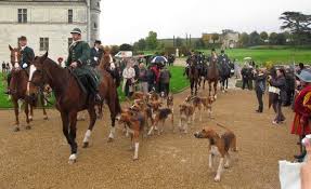 Image result for svat  hubert