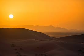 The sahara desert is located in the northern portion of africa and covers over 3,500,000 square miles (9,000 since the sahara desert makes up nearly 10% of the african continent, the sahara is often. Ai Reveals Over 1 8 Billion Trees In The Sahara Desert