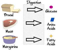 As always, i recommend whole foods over processed ones. What Are Macronutrients Healthy Outcome For Teens