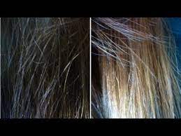 Honig, kamille und zitrone sind die typischen hausmittel zum natürlichen. Haare Naturlich Aufhellen Youtube