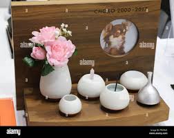 In this Wednesday, Aug. 22, 2018, photo, Ellen Watterson reenacts an 1830s  farm worker milking a cow named May in a barn at Old Sturbridge Village, in  Sturbridge, Mass. With a $75,000