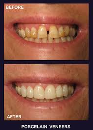 Fiddlehead Dental Fiddlehead Dental