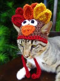 Cat Hat Costume The Thanksgiving Turkey Hat By Iheartneedlework 18 00 Crochet Dog Clothes Cat Hat Cute Cat Costumes
