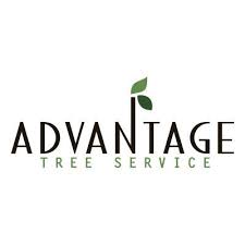 Angi.com has been visited by 100k+ users in the past month Advantage Tree Service Quad Cities Home Facebook