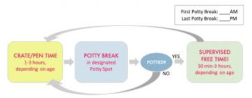Take them to their toilet area deciding how you're going to tackle potty training in advance is the key to potty training quickly, with as few accidents as possible and minimal frustration. How To Potty Train Your Puppy Instinct Dog Behavior Training