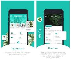 Android best free plant identification app 2019. 16 Best Plant Identification Apps For Android Ios Free Apps For Android And Ios