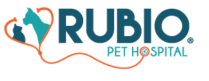 22 east miller street winter garden,fl 34787. Rubio Pet Hospital Veterinary Clinic In Melbourne Fl