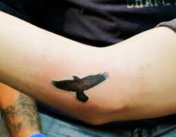 So, if you are now itching you get inked, these eagle tattoo ideas are absolutely best considered. 65 Small Eagle Tattoo Designs And Ideas For Men Most Trusted Lifestyle Blog
