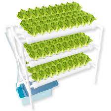 12 Best Hydroponic System For Beginners The Gardening Dad Hydroponics System Hydroponics Vertical Hydroponics