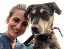 How a Trip to India re-inspired a Veterinarian