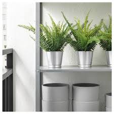 Pensez � la sortir en ext�rieur entre ao�t et septembre. Fejka Plante Artificielle En Pot Interieur Exterieur Fougere Ikea