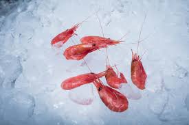 Icy Ocean Shrimp 32 Oz | Shrimp & Scallops | Market Basket