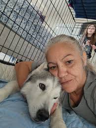 Loss of a Beloved Husky Pet