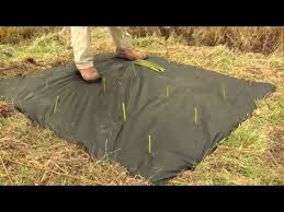 I Somehow Got Strong By Raising Skills Related To Farming How To Plant Willow 3min Youtube Basket Willows With Favorable Moist Conditions Will Grow On A Wide Range Of Soils My Intention Basket Willow Plants Willow