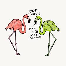 Pink Flamingos Funny Memes Shefalitayal